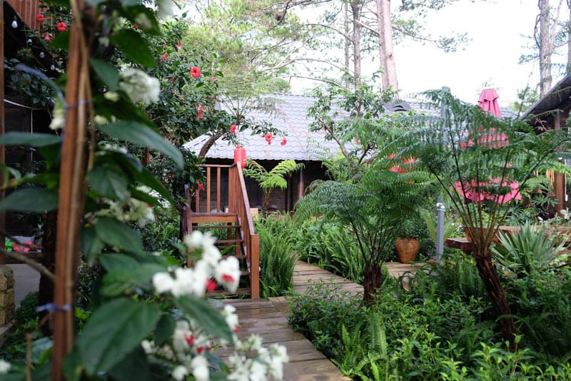 homestay mang den homestay nhiều hoa trong vườn Alba-Ra Homestay