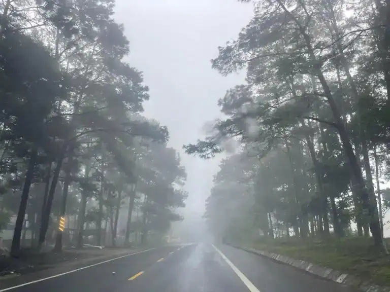 DU LỊCH MĂNG ĐEN XANH – SẠCH – ĐẸP – BỀN VỮNG: HƯỚNG ĐI KHÔNG THỂ ĐẢO NGƯỢC 3 Du lịch Măng Đen đường thông sương mờ