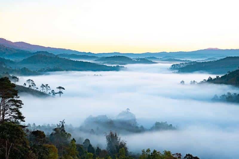 homestay săn mây Măng Đen biển mây