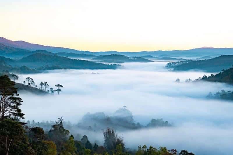 dich vu mang den view biển mây giữa núi rừng ở săn mây farmstay