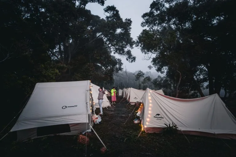 camping măng đen discovery lều trong rừng có du khách đang trải nghiệm
