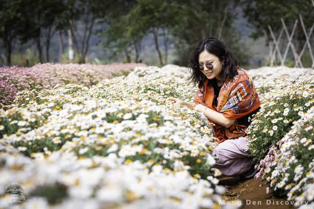 du khách chụp ảnh trong vườn hoa tại thiện mỹ farm khi tham gia tour dạo bước măng đen