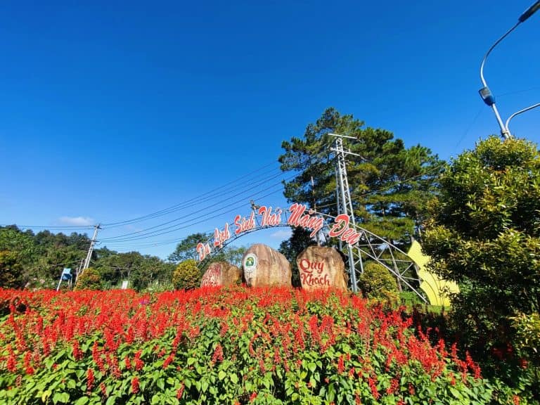 DANH SÁCH 20 ĐIỂM VUI CHƠI TẠI MĂNG ĐEN - REVIEW MĂNG ĐEN 13 Cổng chào Măng Đen giữa không gian xanh mát với cây cối hoa lá hai bên đường, dấu mốc chào đón du khách đến thị trấn cao nguyên