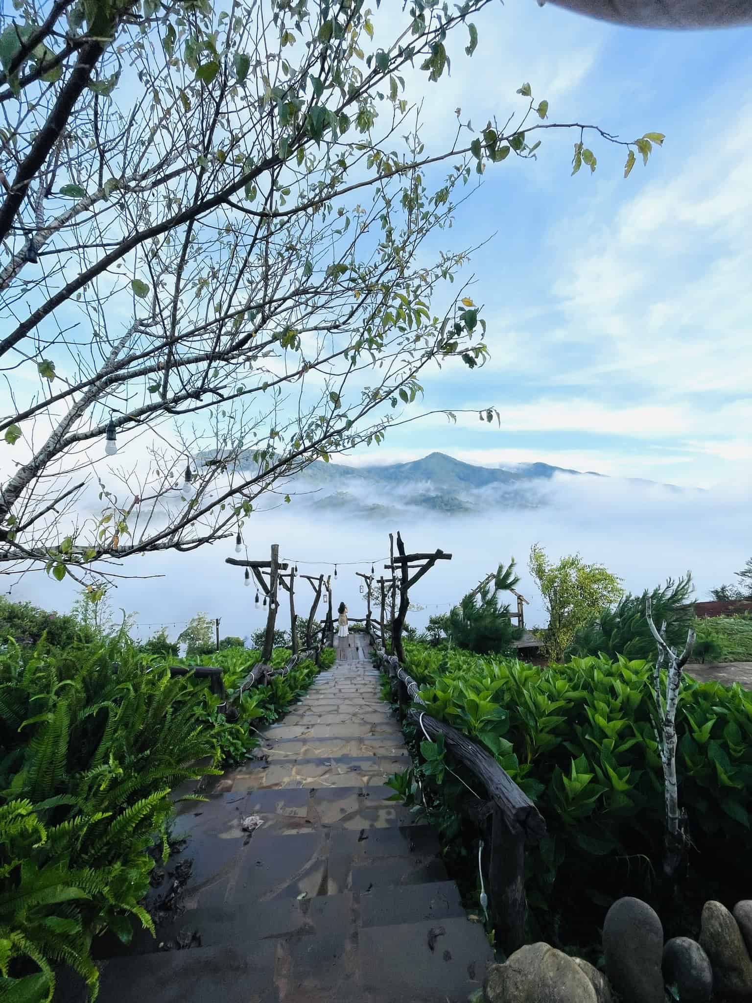 homestay Măng Đen lối đi lót đá trang trí nhiều hoa lá ra view săn mây ngắm núi rừng săn mây homestay and coffee