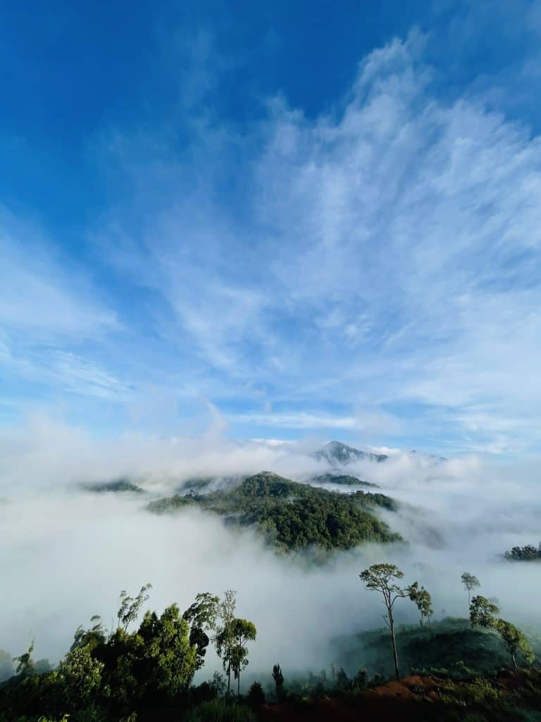 homestay săn mây Măng Đen mờ ảo