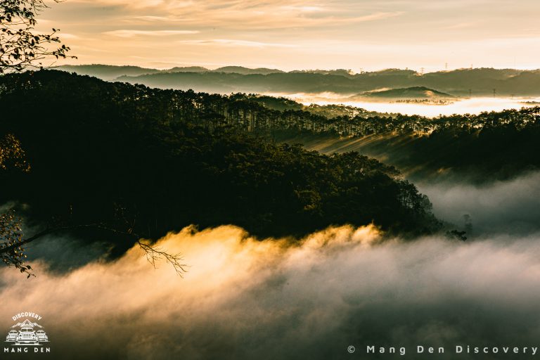 homestay săn mây Măng Đen rừng thông