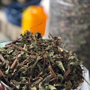 đặc sản Măng Đen chè dây