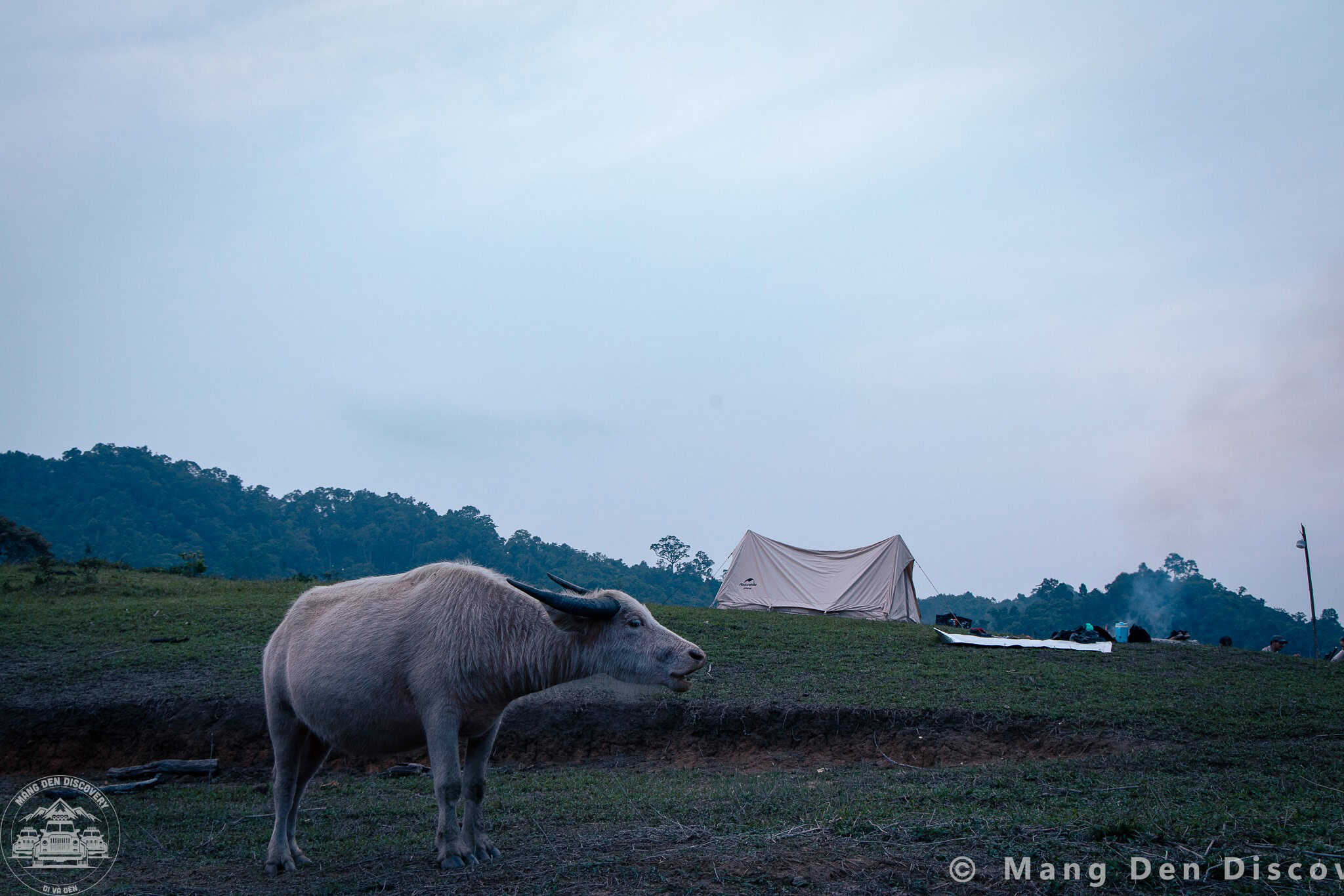 camping Mang Den giữa rừng