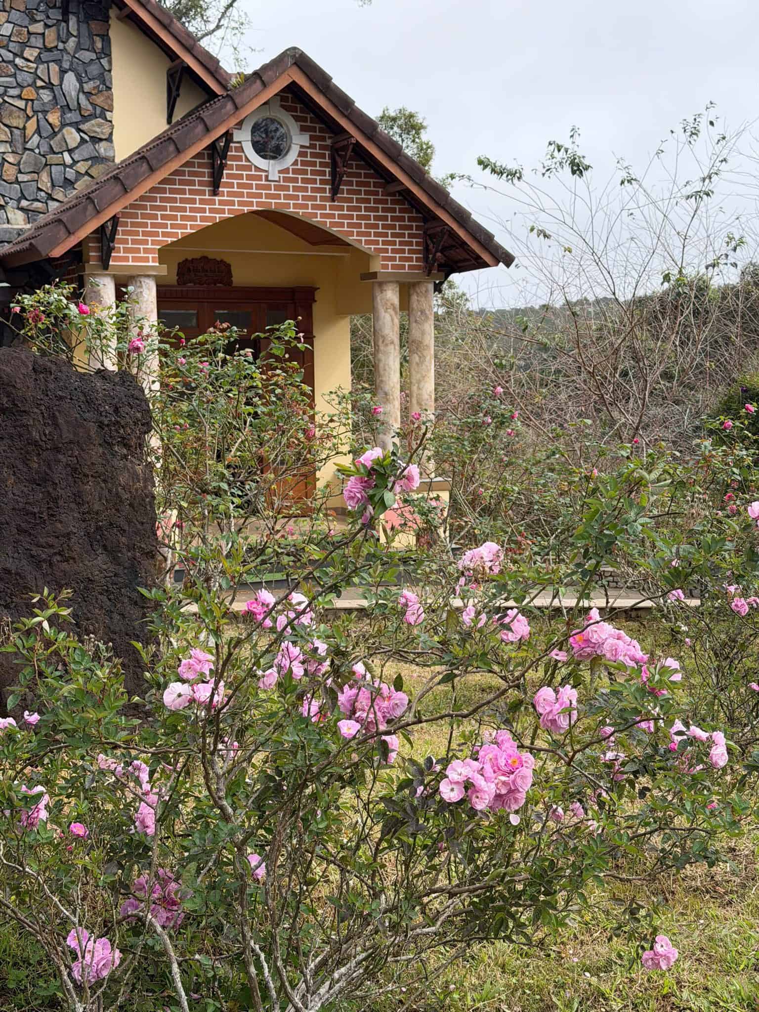 resort măng đen cô gái tham quan cảnh đẹp trong rừng kon tu ma