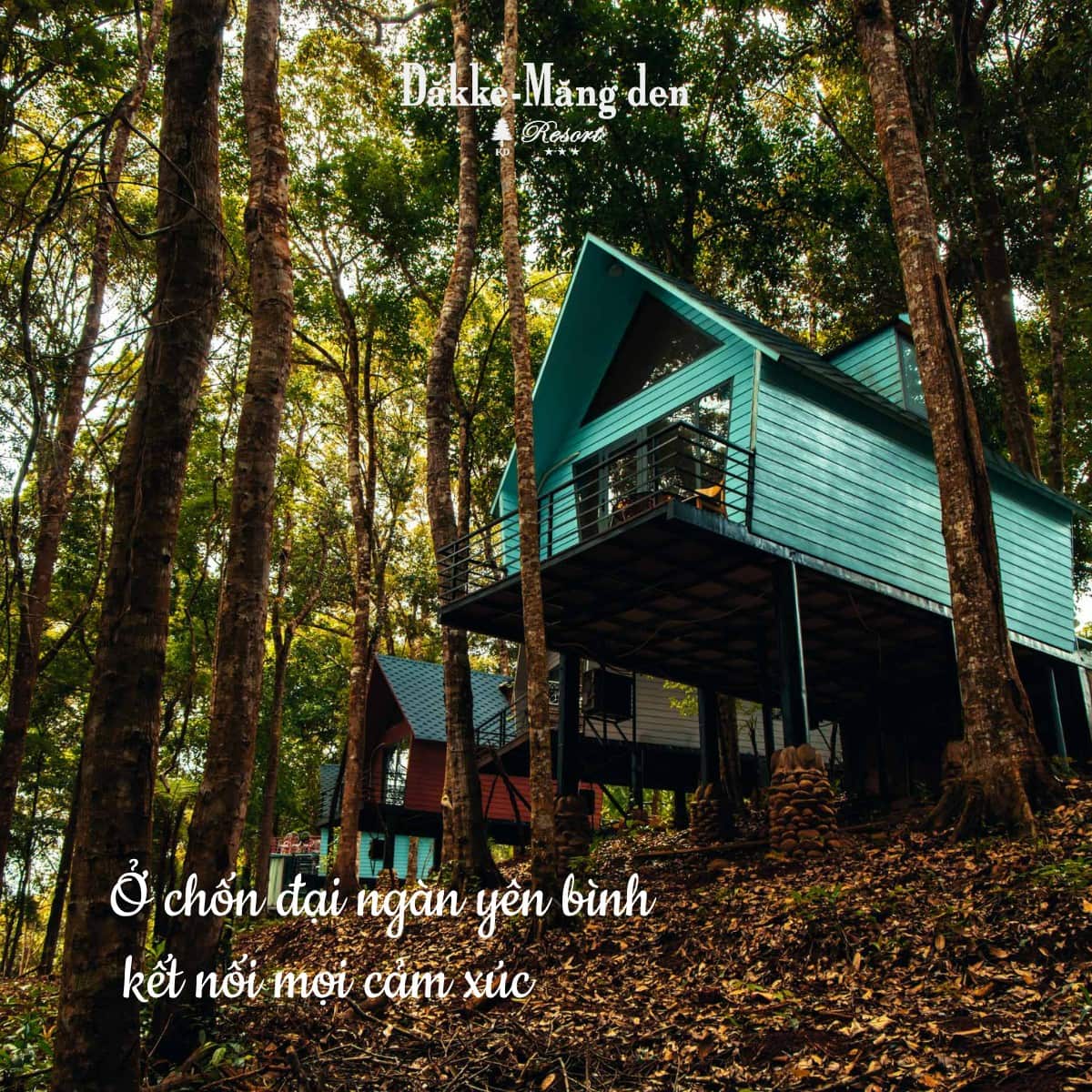 resort măng đen nhà gỗ trong rừng thông dakke resort