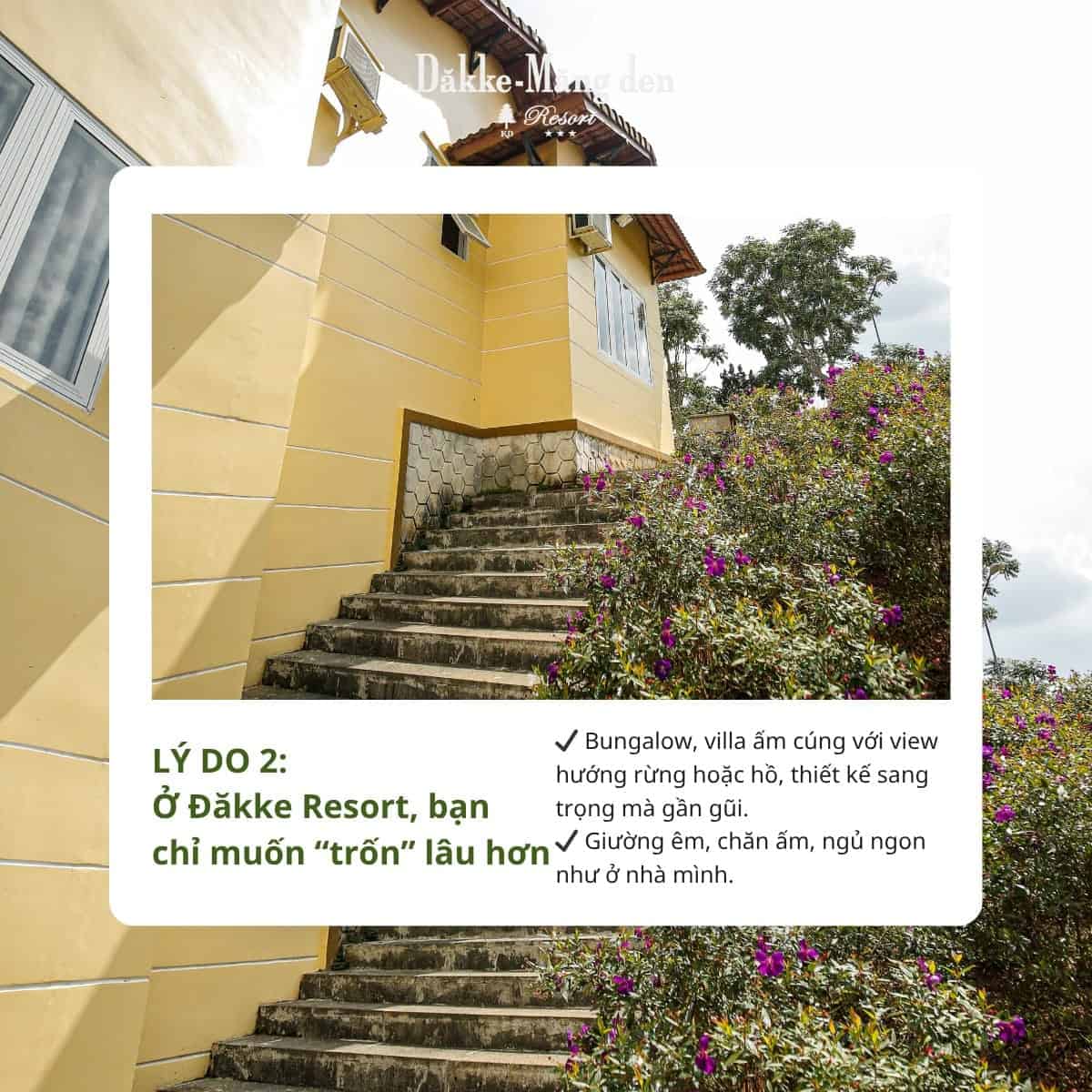 resort măng đen lý do 2 để đến dakke resort