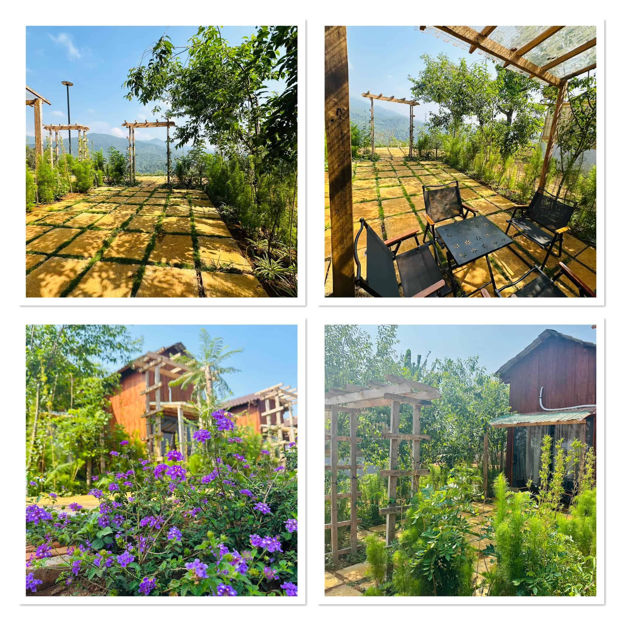 farmstay Măng Đen toàn bộ các hình ảnh sân vườn ventosa homefarm