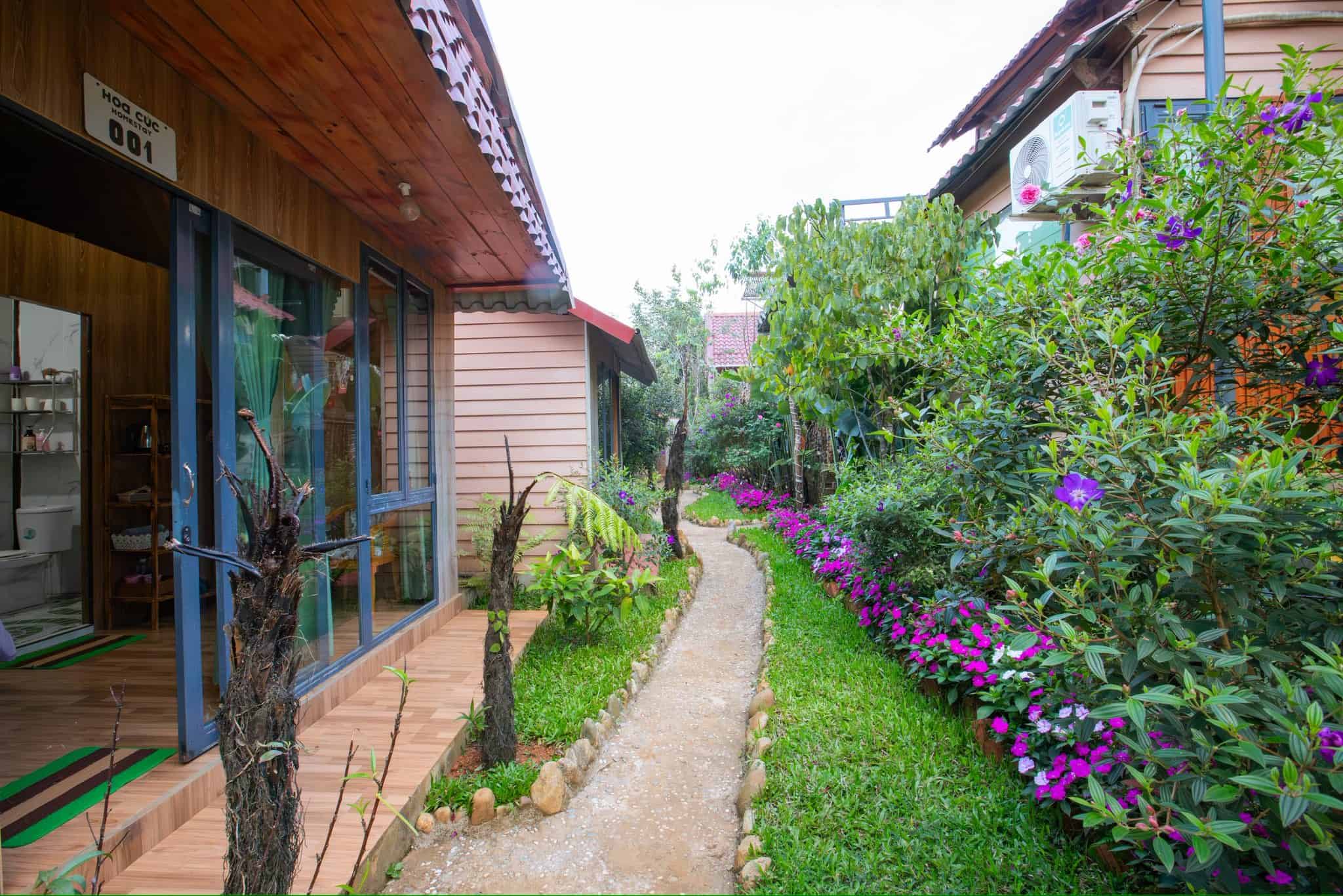 homestay Măng Đen sân vườn homestay hoa cúc