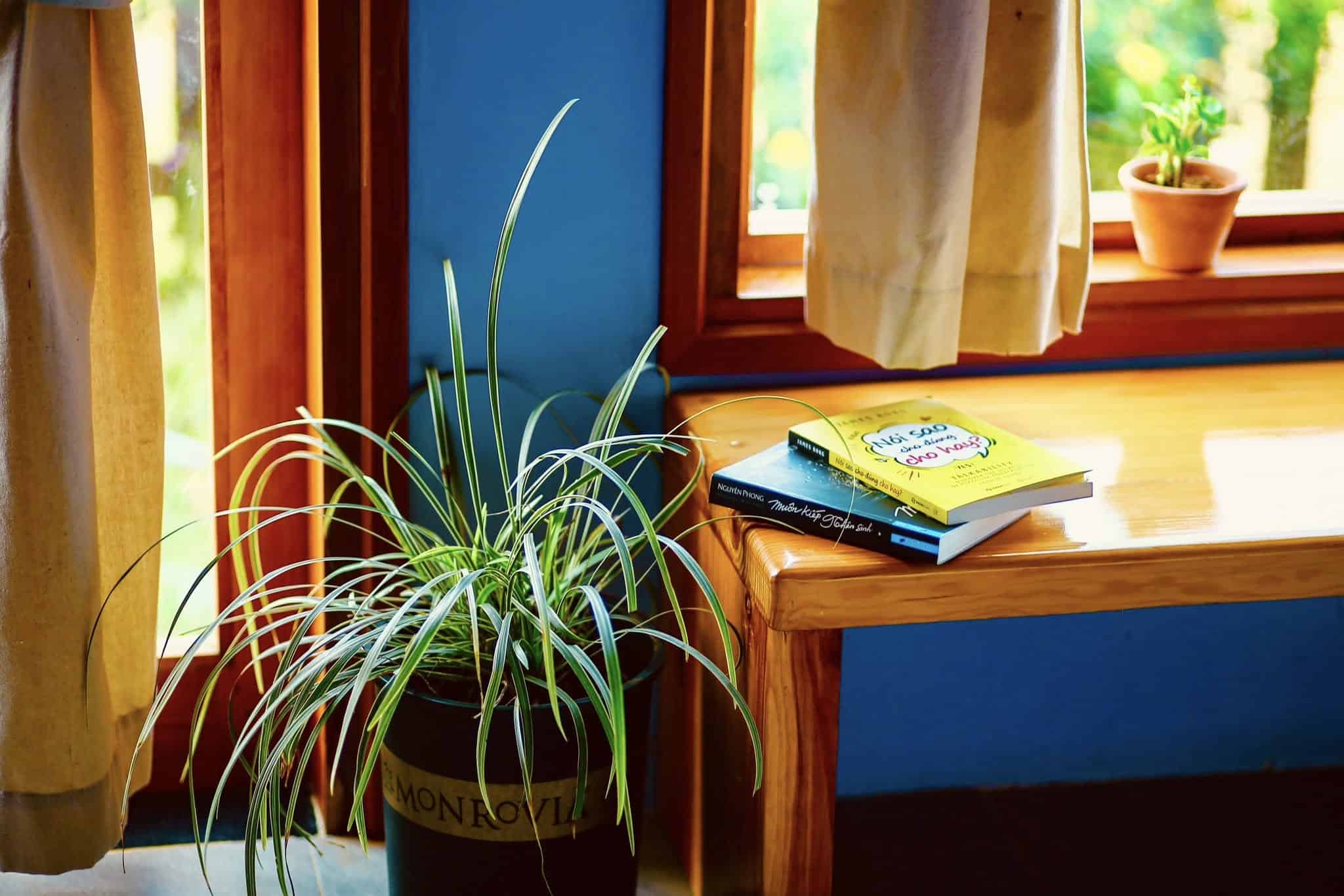 homestay Măng Đen hoa, sách trang trí bên bàn gỗ cạnh khung kính trong phòng ngủ ở Pinky Moon homestay