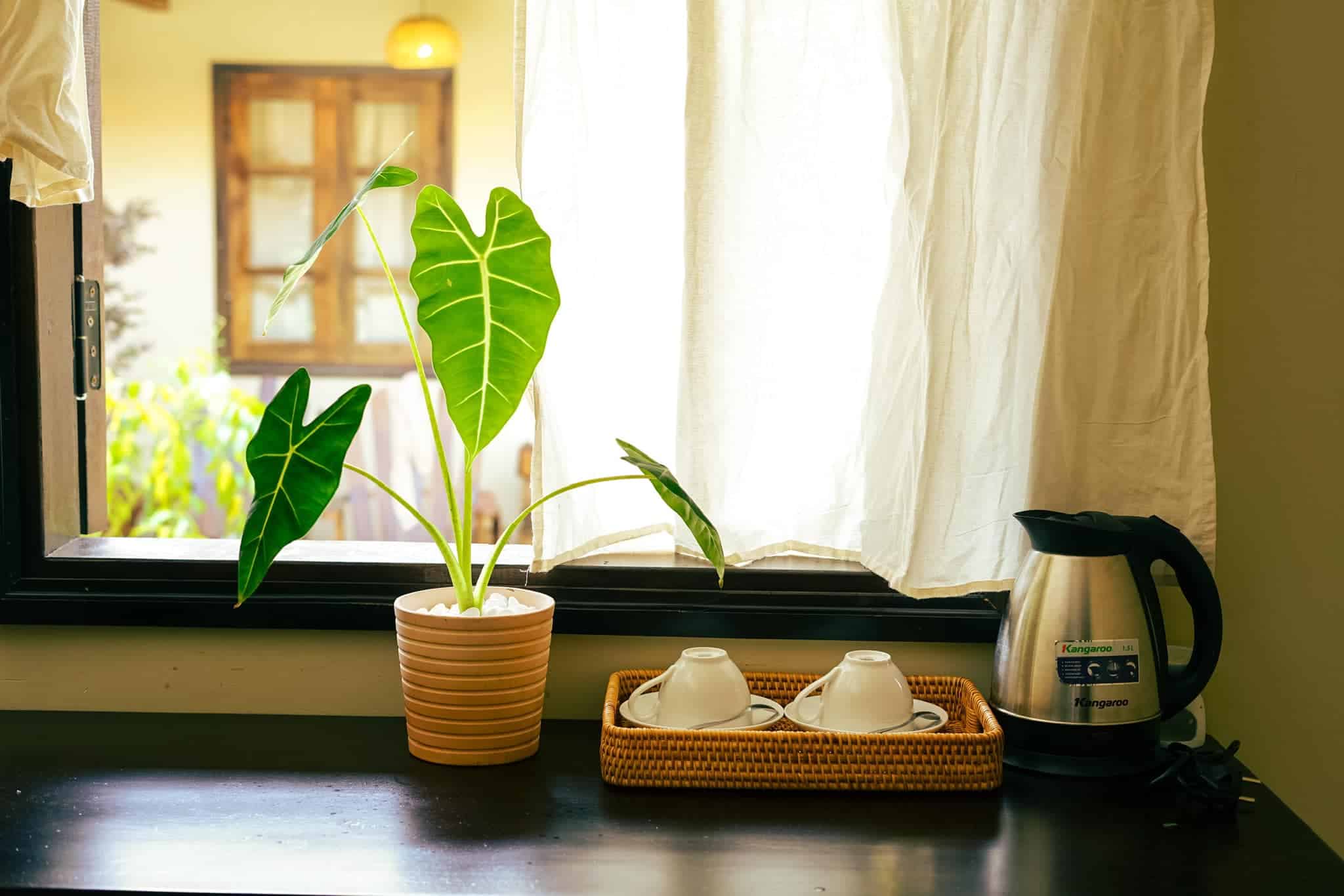 homestay Măng Đen bàn gỗ trang trí hoa có ấm nước và tách trà ngó ra vườn trong phòng ngủ Du Yên homestay