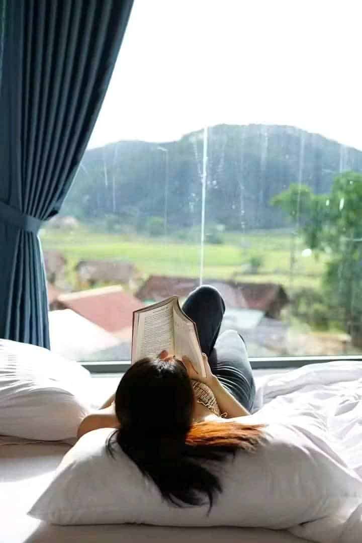 homestay Măng Đen cô gái nằm đọc sách trong phòng ngủ lavender