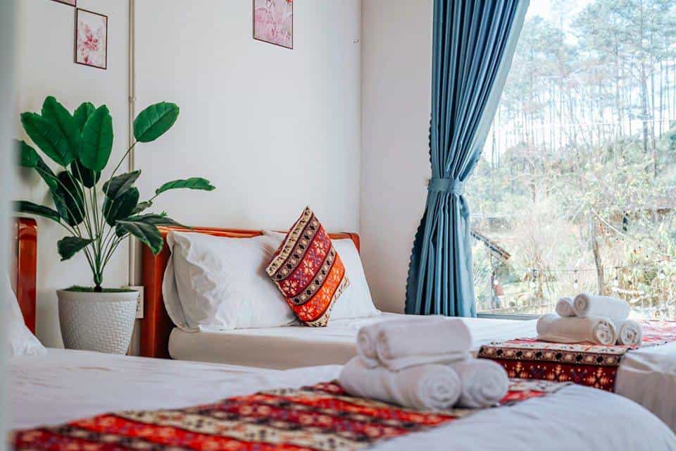homestay Măng Đen phòng có view rừng lavender