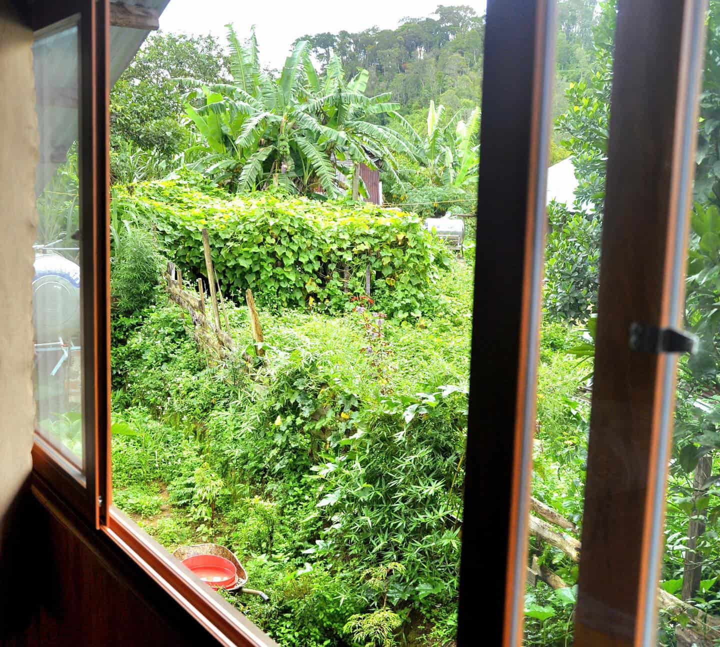homestay Măng Đen view vườn