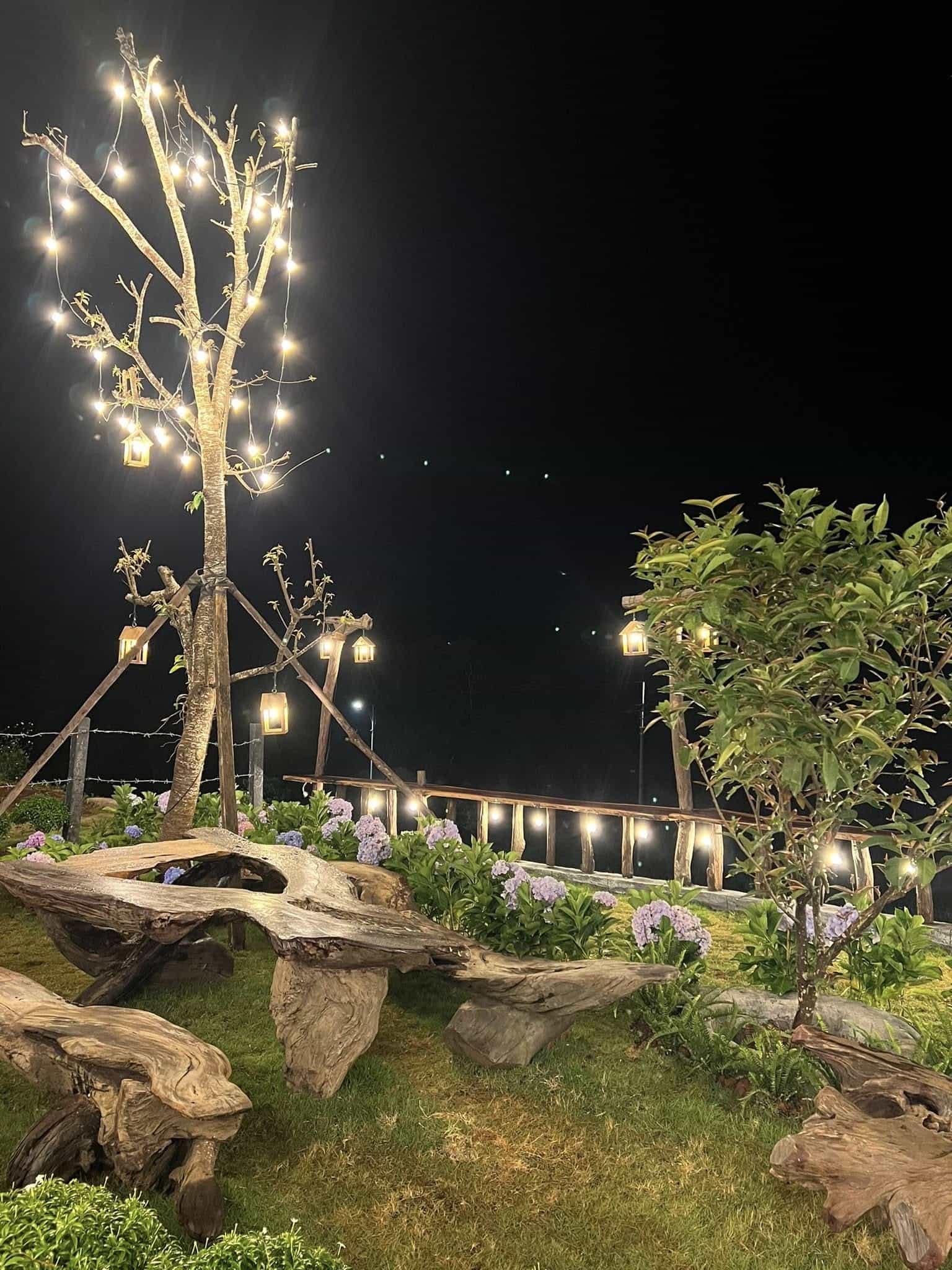 homestay Mang Den góc nhìn view rừng ban đêm của homestay Son