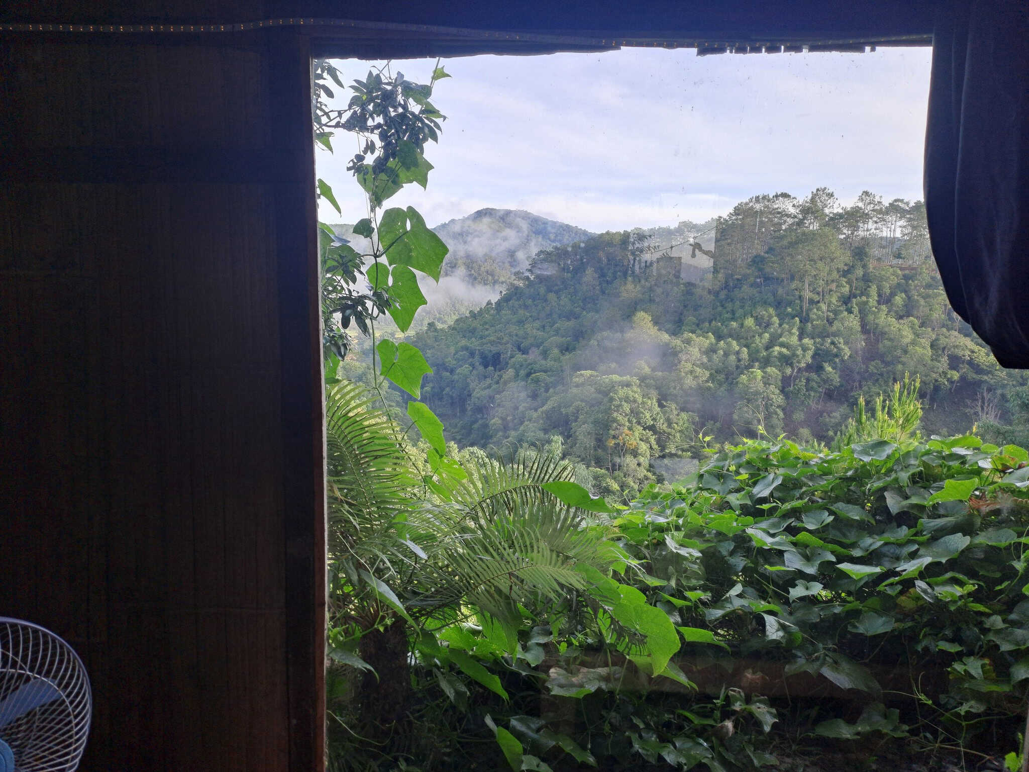 homestay Măng Đen view rừng homestay niem t