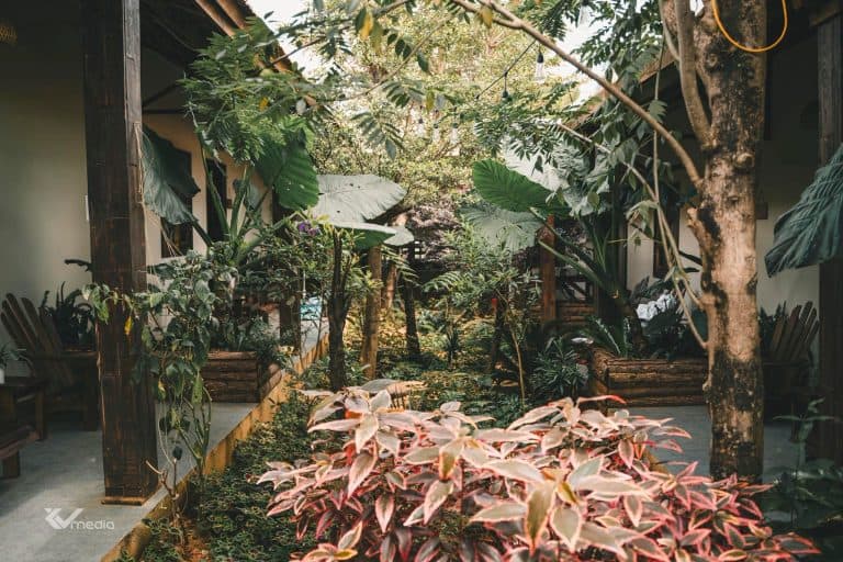 homestay Măng Đen vườn hoa nhiều màu sắc Du Yên homestay