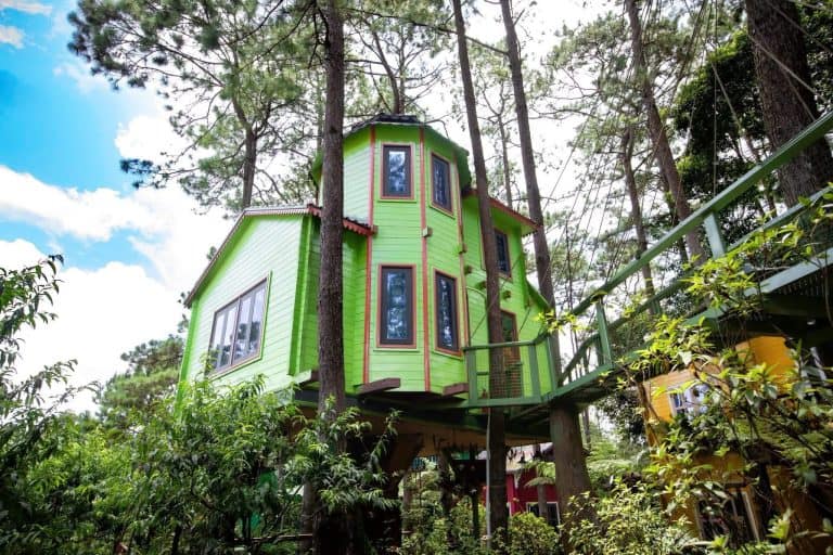homestay Măng Đen homestay sơn màu xanh lá ở rừng thông Rosie homestay