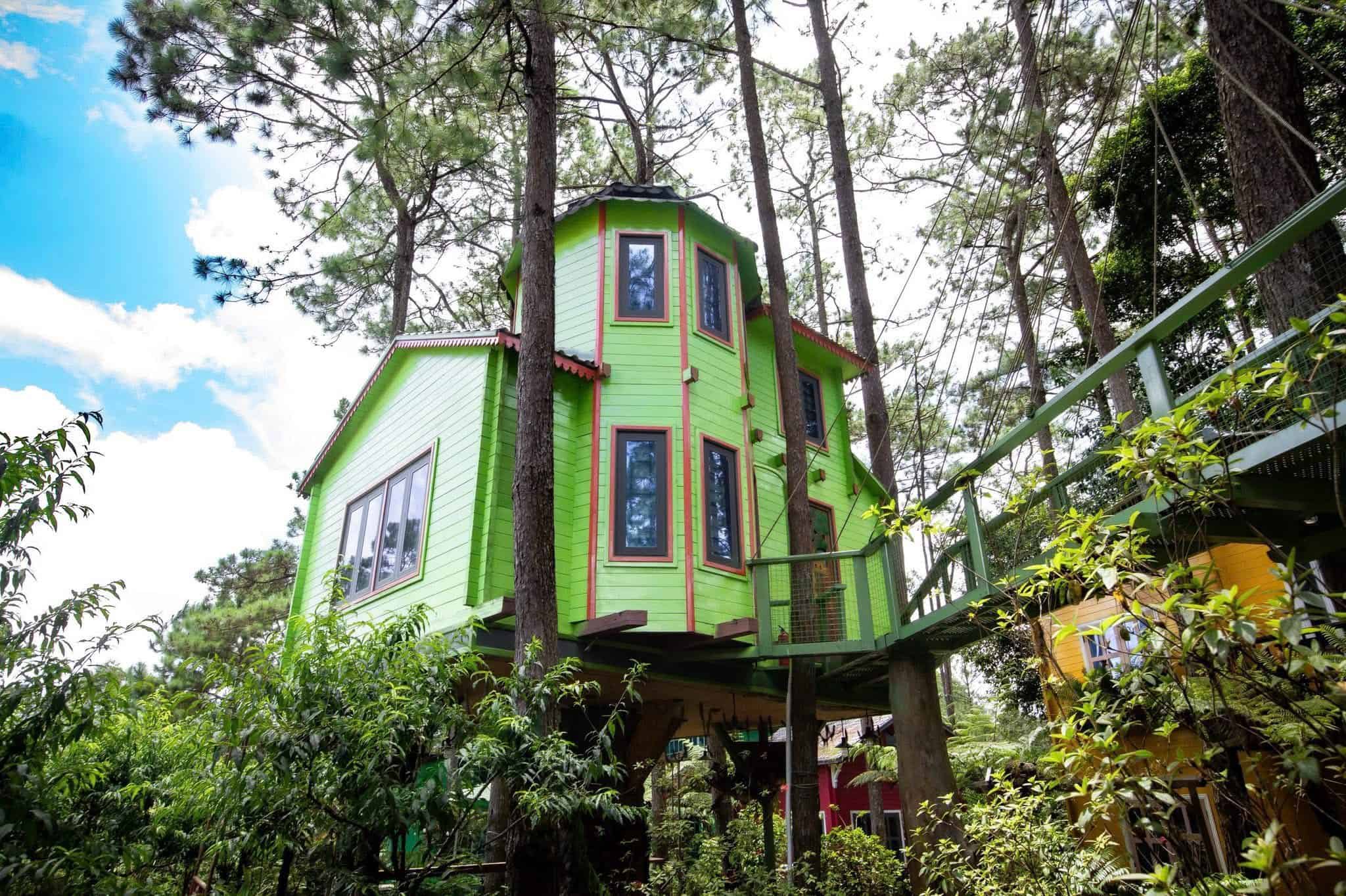 homestay Măng Đen homestay sơn màu xanh lá ở rừng thông Rosie homestay