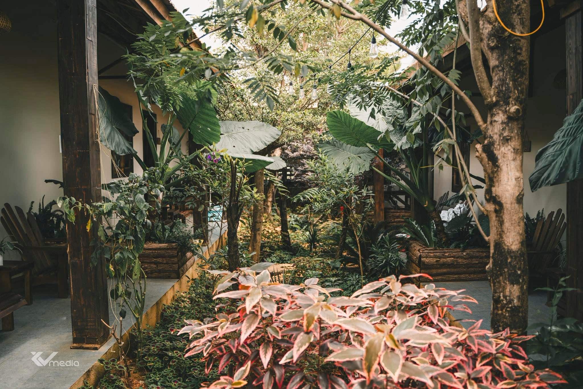 homestay Măng Đen vườn hoa nhiều màu sắc Du Yên homestay