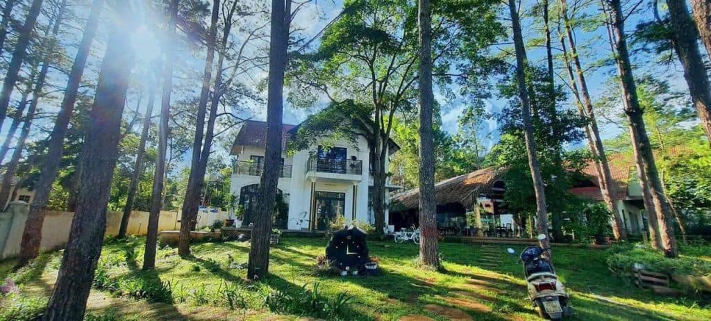 20 HOMESTAY TRUNG TÂM MĂNG ĐEN – NHỮNG LỰA CHỌN TIÊU BIỂU 10 HOMESTAY TRUNG TÂM MĂNG ĐEN giữa rừng