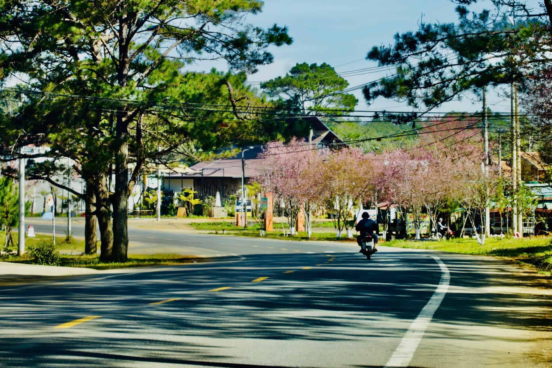 homestay mang den đường trước mặt Eva Homestay