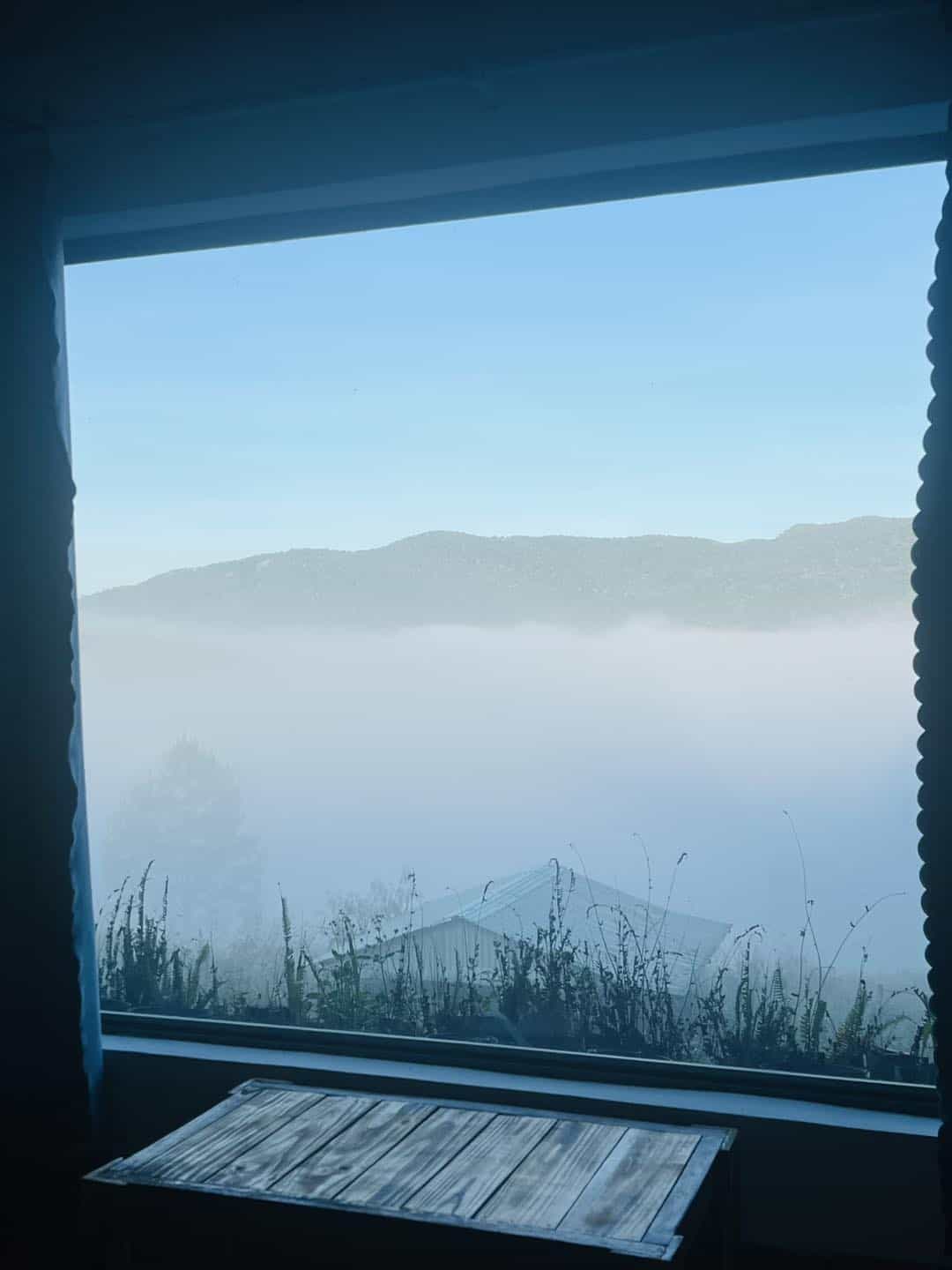 homestay măng đen có view săn mây