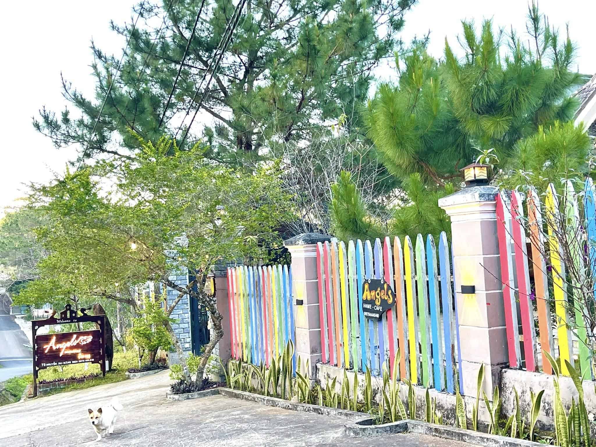 homestay mang den hàng rào trang trí nhiều màu sắc và cây thông Angels homestay
