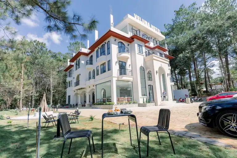 hotel mang den sang chảnh