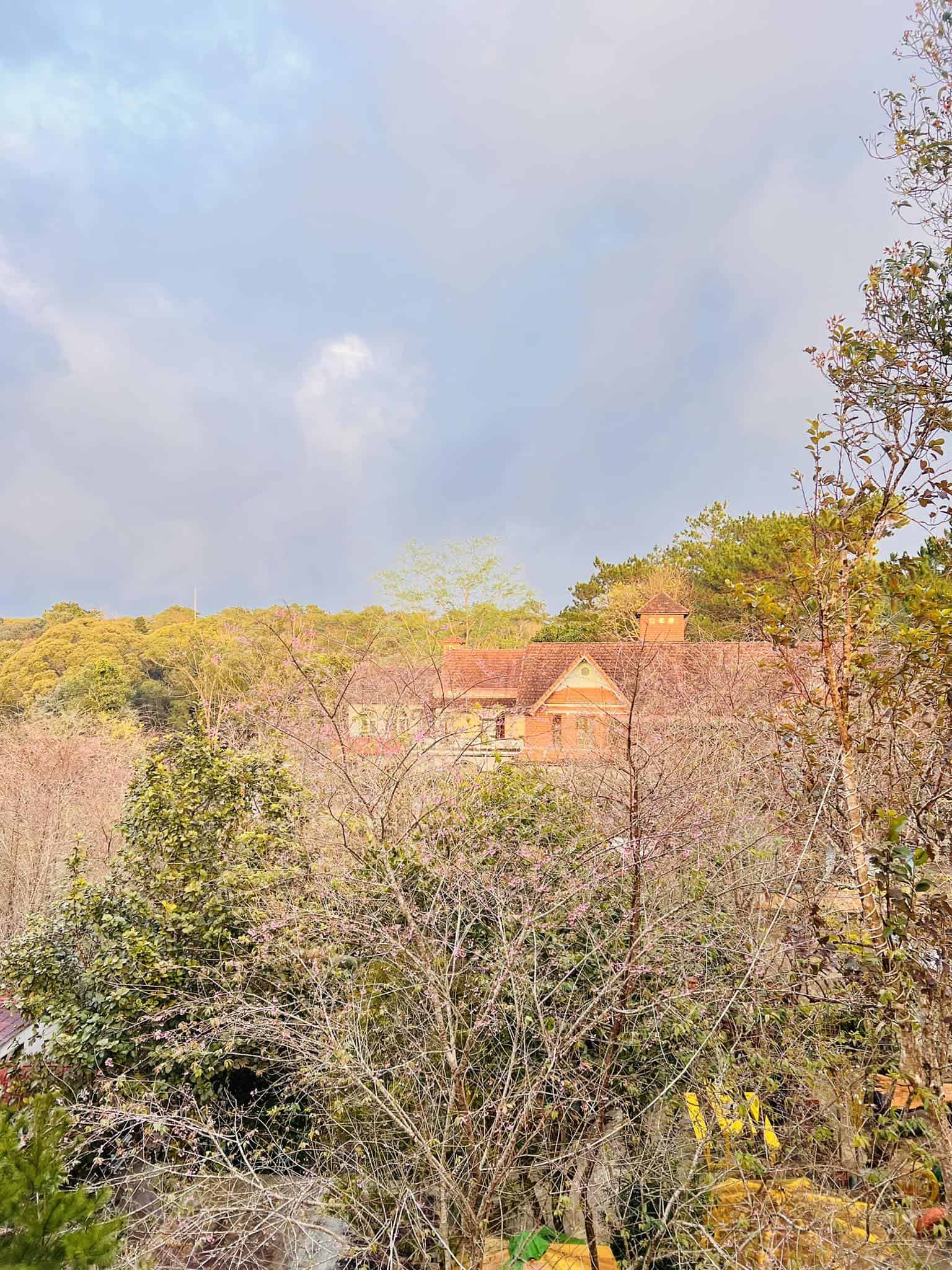 khách sạn Măng Đen góc nhìn từ ngoài vào nhiều cây cối ở khách sạn Đồi Thông