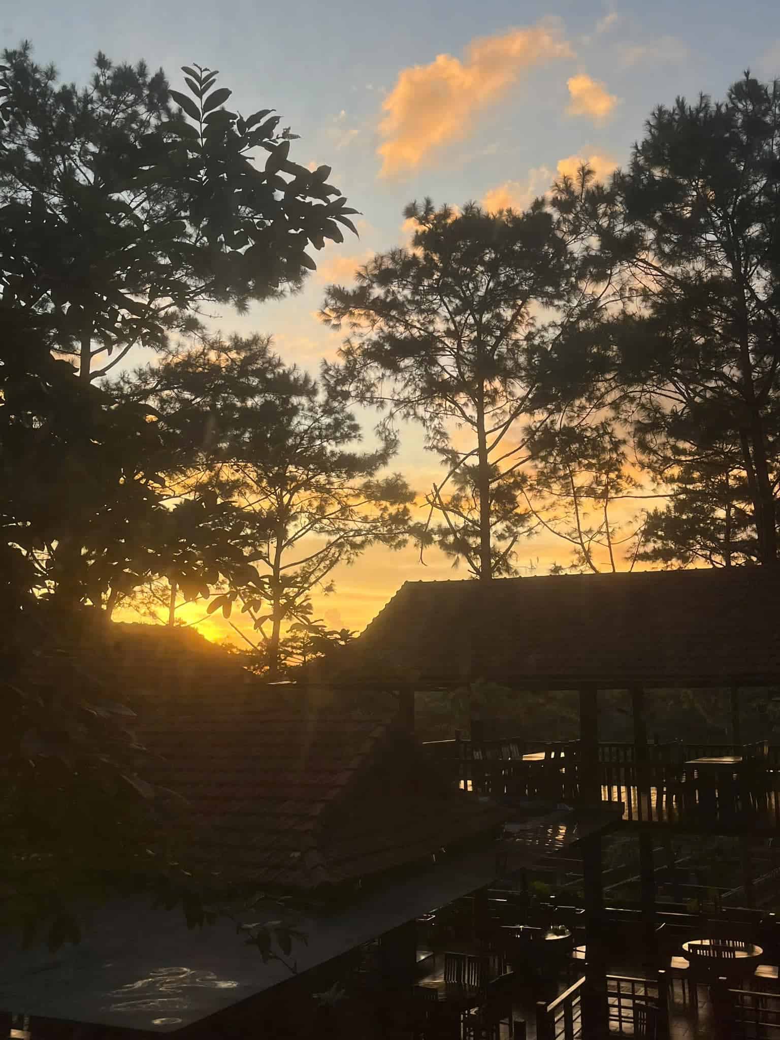 khach san mang den góc chụp rừng thông vào buổi chiều tối xen kẽ sân vườn cafe the kindness hotel