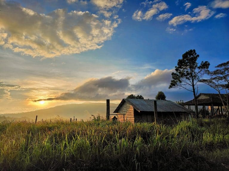 DANH SÁCH 20 ĐIỂM VUI CHƠI TẠI MĂNG ĐEN - REVIEW MĂNG ĐEN 6 Tầm nhìn từ Khu 37 Hộ Măng Đen nhìn xuống thung lũng phía dưới với rừng thông xanh và sương mù bao phủ buổi sớm