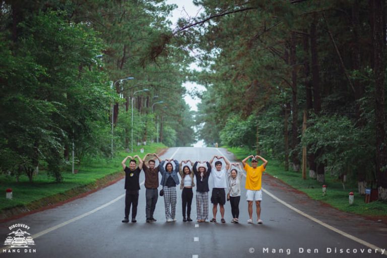 DANH SÁCH 20 ĐIỂM VUI CHƠI TẠI MĂNG ĐEN - REVIEW MĂNG ĐEN 14 Con đường thông Măng Đen với hai hàng cây thông cao thẳng tắp tạo bóng mát, ánh sáng xuyên qua tán lá buổi sáng sớm