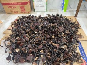 dac san mang den nấm cổ cò