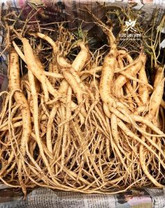 dac san mang den chè dây đã xịt