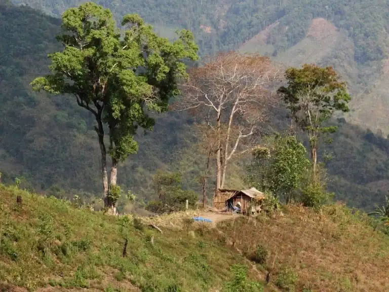 DU LỊCH MĂNG ĐEN – BÔNG HOA RỪNG ĐANG NỞ GIỮA TÂY NGUYÊN 2 du lịch Măng Đen hoang sơ