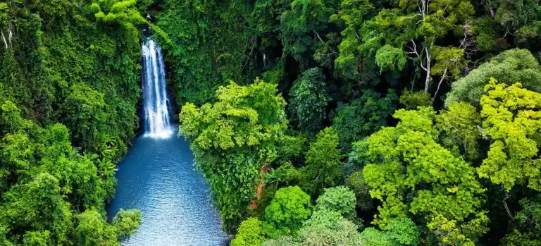 THÁC PA SỸ MĂNG ĐEN – DÒNG THÁC GIỮA RỪNG GIÀ KON PLÔNG 7 thác pa sỹ măng đen