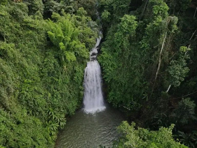 THÁC PA SỸ MĂNG ĐEN – DÒNG THÁC GIỮA RỪNG GIÀ KON PLÔNG 3 Không gian sạch và mát quanh thác Pa Sỹ sau khi mở cửa trở lại