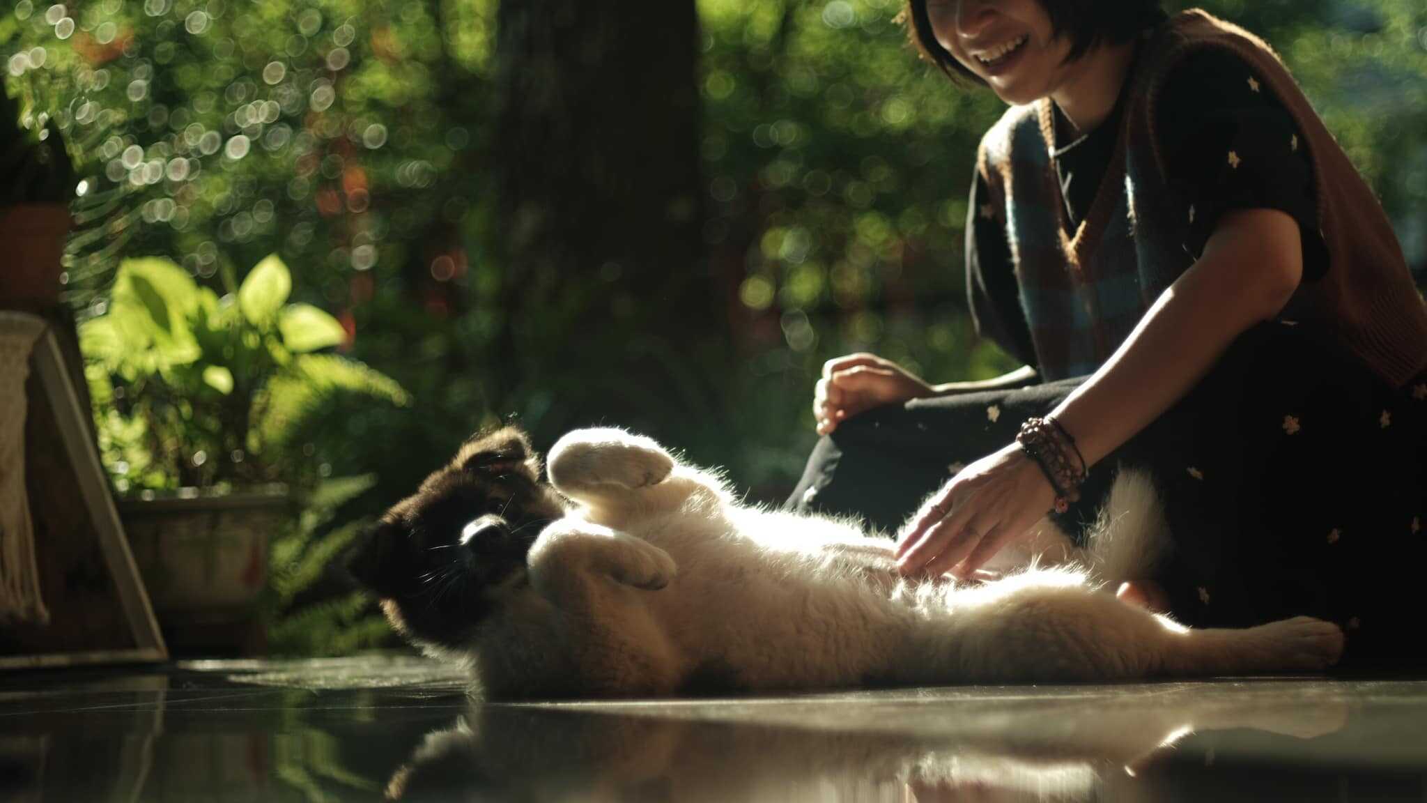 villa Măng Đen cho thú cưng