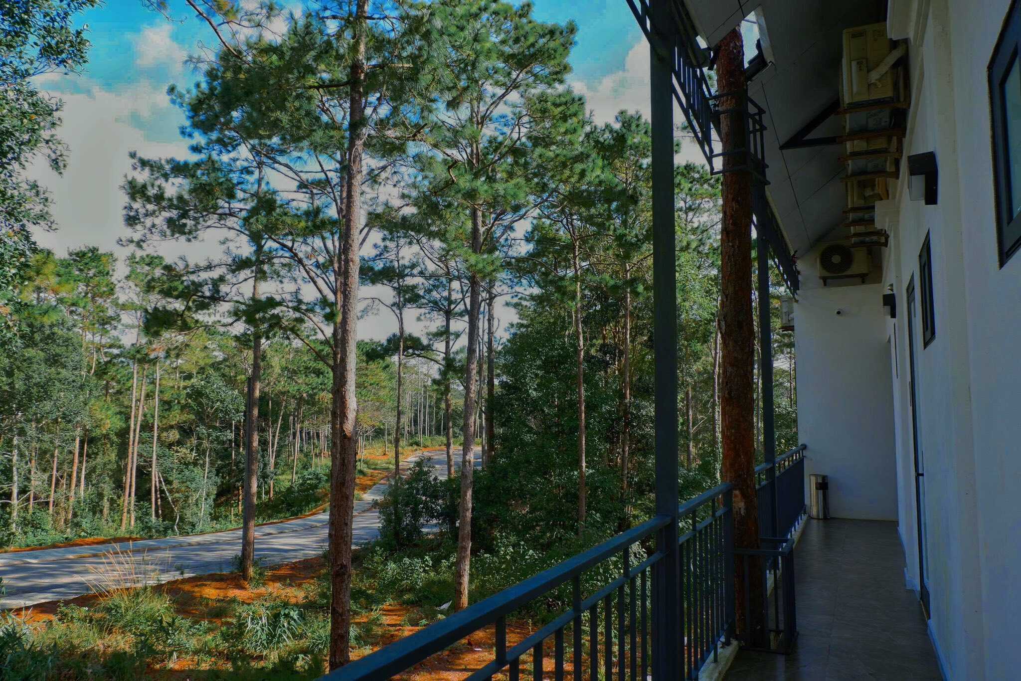 villa Mang Den góc nhìn ra đường của Zephyrus Villa