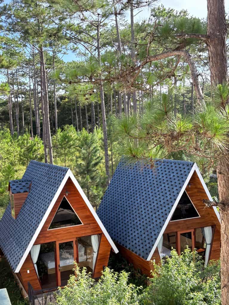 Nhà gỗ mái thái xanh giữa rừng thông tại Măng Đen