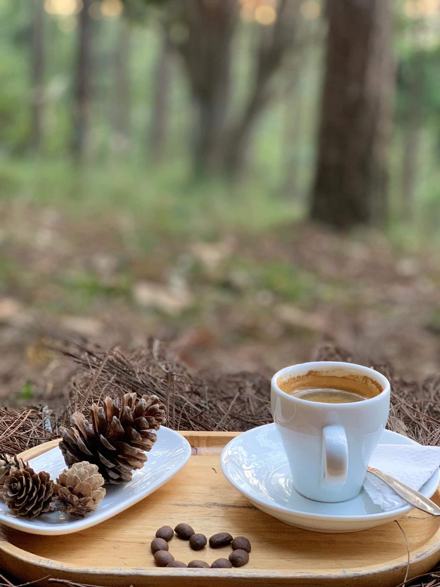 villa mang den có cafe ngon bên rừng