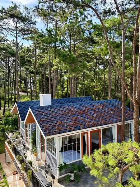 Khu bungalow giữa rừng thông tại Gemstone Villa Măng Đen