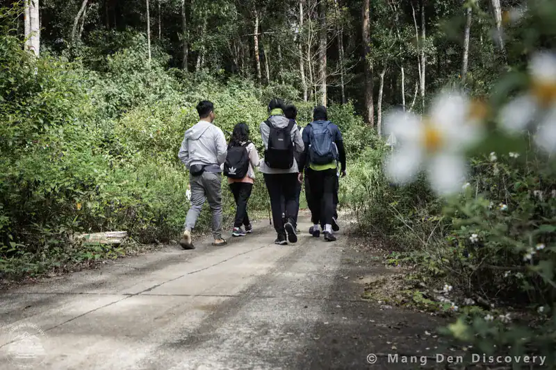 đoàn khách di chuyển từ cổng khu bảo tồn thác K50 vào thác trong tour trekking thác K50