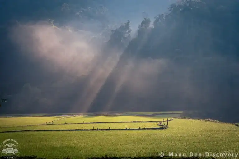 RUỘNG BẬC THANG MĂNG ĐEN – DẤU ẤN CANH TÁC VÀ VẺ ĐẸP NGUYÊN SƠ CỦA TÂY NGUYÊN 26 ruộng bậc thang măng đen