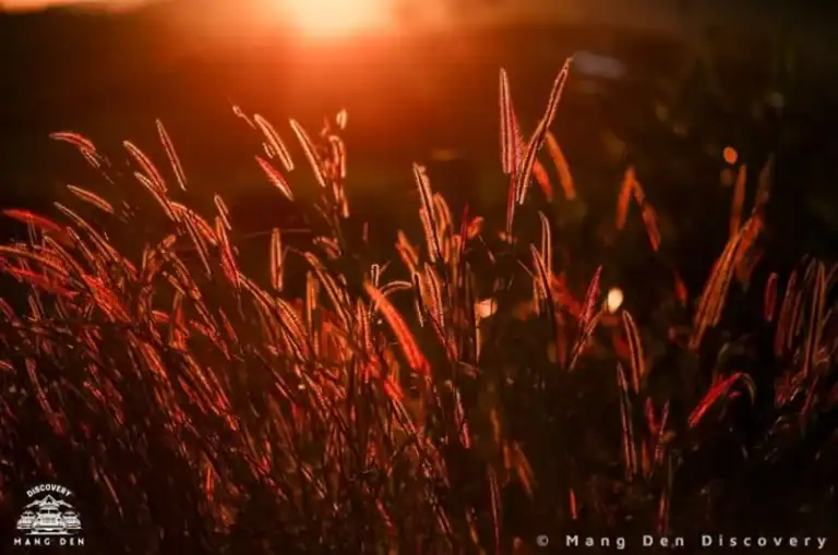 ngắm hoàng hôn Măng Đen tự túc